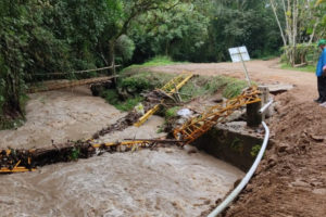 Lee más sobre el artículo Organismos de socorro atendieron emergencias registradas en zona rural de Ibagué