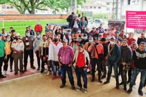 Lee más sobre el artículo Familias cafeteras del Tolima reciben incentivos del Programa de Renovación y Nuevas Siembras
