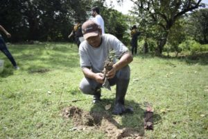Lee más sobre el artículo 400 árboles fueron sembrado en la vereda La Chamba, zona rural del municipio del Guamo