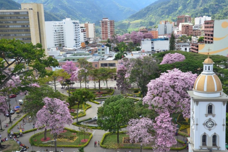 Lee más sobre el artículo Ibagué incluida por la Unesco como Ciudad Creativa