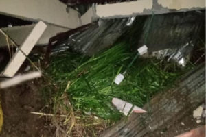 Lee más sobre el artículo Dos menores murieron tras quedar sepultados por un derrumbe en Palocabildo