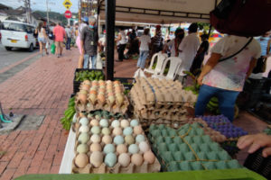 Lee más sobre el artículo Éxito total en primer mercado campesino del Tolima en Mariquita