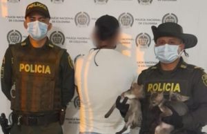 Lee más sobre el artículo Capturaron a un hombre con tres zorros cangrejeros en la comuna 11 de Ibagué