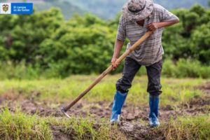 Lee más sobre el artículo El 25 de febrero vence plazo para presentar postulaciones al Programa Alianzas Productivas 2022