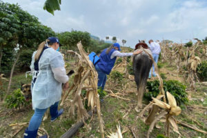 Lee más sobre el artículo Sin importar las condiciones, jornadas de vacunación contra el Covid-19 llegan a zonas rurales de Ibagué