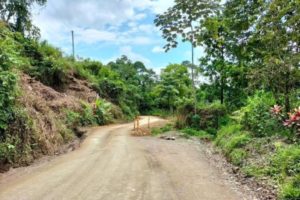 Lee más sobre el artículo ¡Es un hecho! En julio culminará pavimentación de la vía Chaparral – Rioblanco