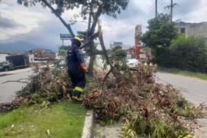 Lee más sobre el artículo Bomberos Oficiales de Ibagué atienden incremento de emergencias durante la temporada de lluvias