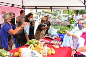 Lee más sobre el artículo Un balance positivo han tenido los Mercados Campesinos en Ibagué 