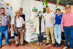 Lee más sobre el artículo Siete millones de nuevos árboles de café y 20 millones más renovados en el Tolima 