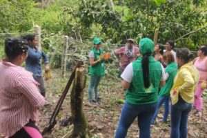 Lee más sobre el artículo Unidades Móviles del ICBF atienden a familias víctimas de desplazamiento en Tolima￼