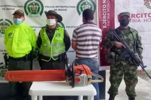 Lee más sobre el artículo En zona rural de Alvarado, un hombre fue capturado por talar árboles sin los permisos correspondientes