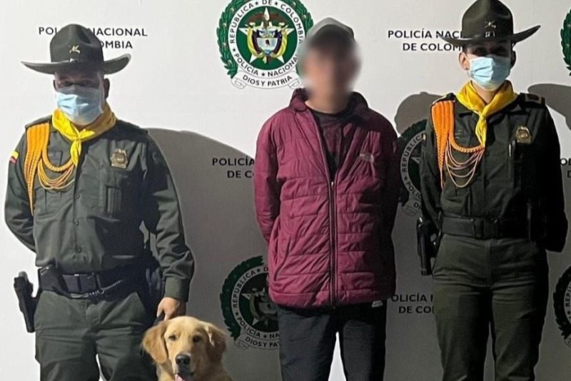 Lee más sobre el artículo Más de 4.000 dosis de marihuana fueron incautadas en la vía Ibagué – Cajamarca