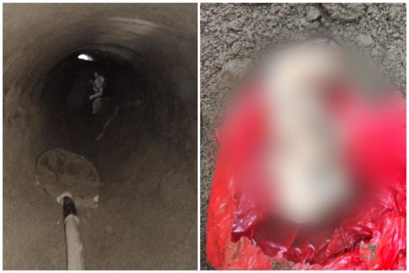 Lee más sobre el artículo Trabajadores de una obra hallaron feto en una alcantarilla ubicada en el norte del Tolima
