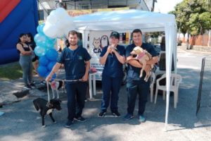 Lee más sobre el artículo En lo que va corrido del año, 102 ‘peluditos’ han sido adoptados en el ‘CAPA’ de Ibagué