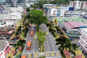Lee más sobre el artículo Más de 2.100 árboles serán sembrados sobre la carrera Quinta de Ibagué