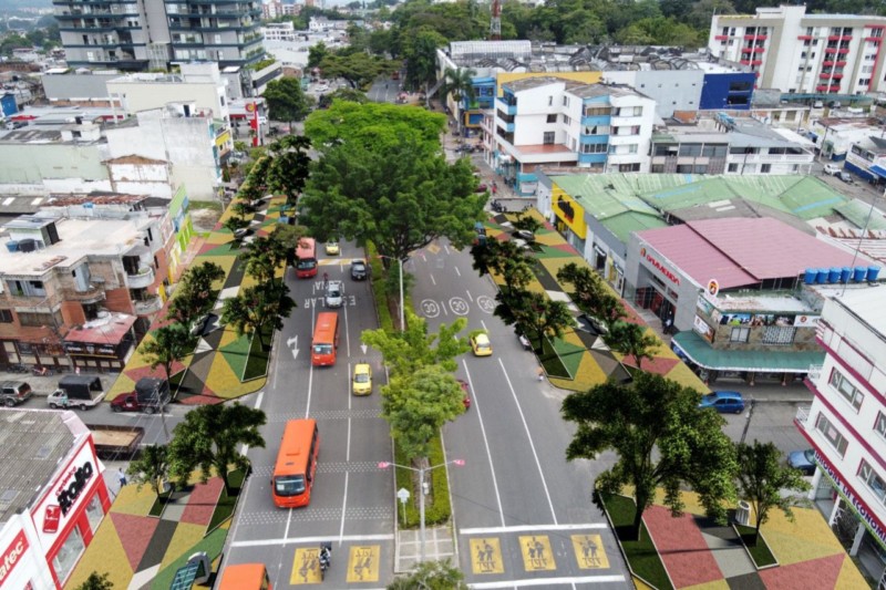 Lee más sobre el artículo Más de 2.100 árboles serán sembrados sobre la carrera Quinta de Ibagué