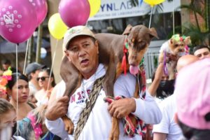 Lee más sobre el artículo Gran participación en la primera versión del ‘4 Patas Festival’ que se desarrolló en la ciclovía de Ibagué