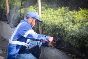 Lee más sobre el artículo Jardines de la carrera Quinta no sufrieron afectaciones durante el fin de semana del San Juan