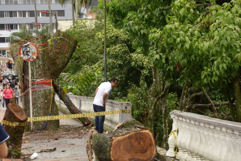 Lee más sobre el artículo Inicia proceso de recuperación del paso peatonal de la calle 10 en el parque Centenario