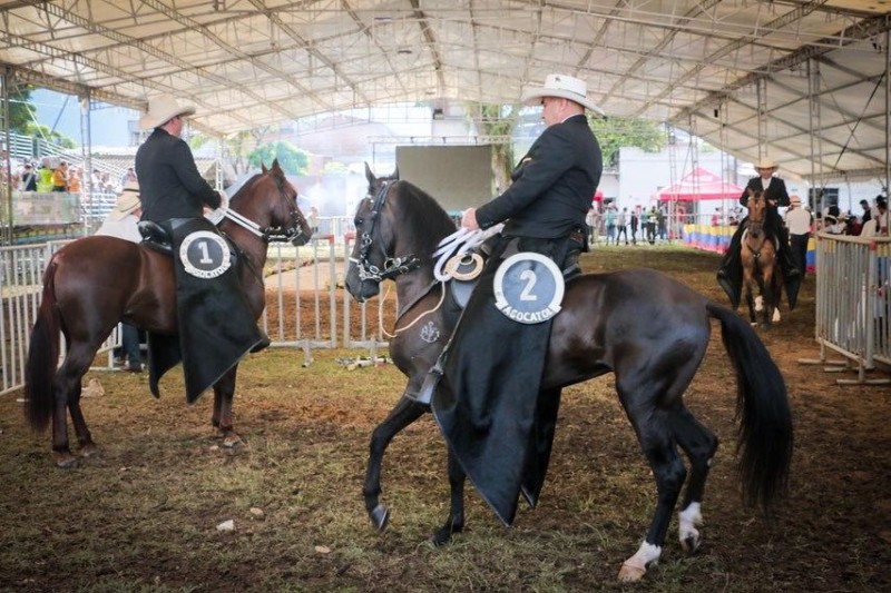 Lee más sobre el artículo Con la visita de más de 6.000 personas inició la Feria Equina y Bovina