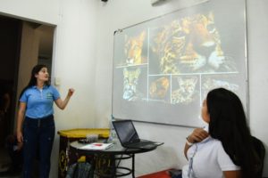 Lee más sobre el artículo Cortolima hace un llamado a respetar el puma que ha sido avistado en Santa Isabel