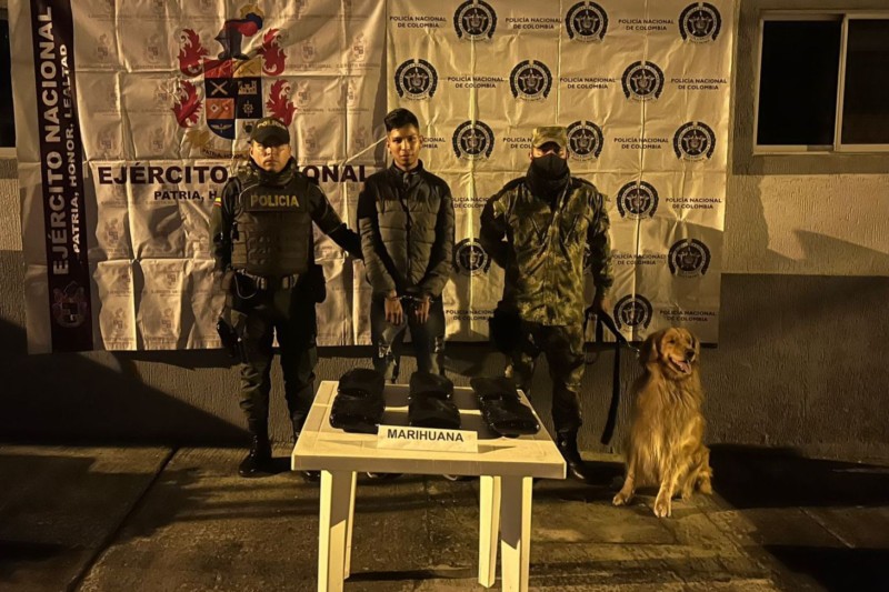 Lee más sobre el artículo Lo sorprendieron con 3 mil dosis de marihuana en jurisdicción de Cajamarca