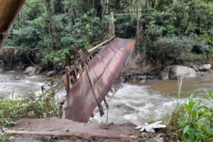 Lee más sobre el artículo Colapsó puente peatonal en Rovira por creciente del río Chilí