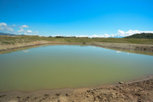 Lee más sobre el artículo Cortolima realizó recorrido de obra a tres jagüeyes en el sur del departamento
