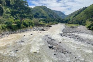 Lee más sobre el artículo Autoridades realizan monitoreo del río Cucuana en el corregimiento de Playarrica