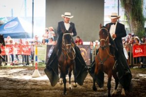 Lee más sobre el artículo Más de 20 mil personas visitaron la Feria Equina y Bovina en su tercer día