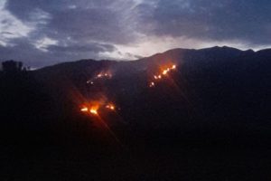 Lee más sobre el artículo Organismos de socorro atienden incendio de cobertura vegetal en el cerro El Indio del Guamo