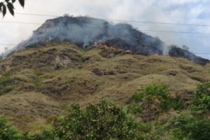 Lee más sobre el artículo Incendio consume zona boscosa del municipio de Prado