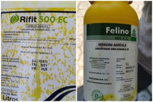 Lee más sobre el artículo Menores se intoxicaron tras inhalación de químicos en un colegio de Lérida