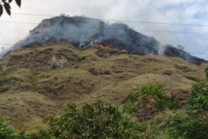 Lee más sobre el artículo Incendio en Prado ha consumido 150 hectáreas de vegetación