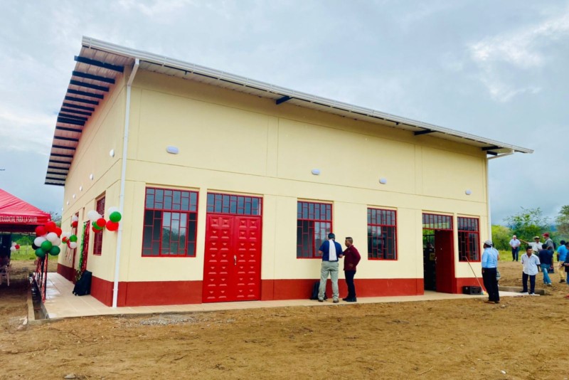 Lee más sobre el artículo Tolima cuenta con el primer centro de acopio de hoja de cachaco del país