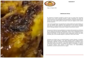 Lee más sobre el artículo Burger City se pronuncia ante la aparición de una cucaracha en un plato de comida