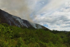 Lee más sobre el artículo Con la ayuda de helicóptero buscan apagar incendio de cobertura vegetal que se registra en Melgar