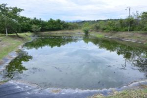 Lee más sobre el artículo Entregaron obra que garantiza funcionamiento hidráulico por más de 20 años en Piedras