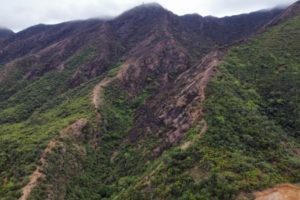 Lee más sobre el artículo Lluvias apagaron incendio de cobertura vegetal en Coello