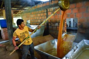 Lee más sobre el artículo Cortolima entregó hornillas paneleras y estufas ecoeficientes en Alvarado