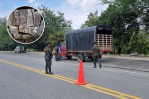 Lee más sobre el artículo Autoridades incautaron madera ilegal en la vía Ibagué – Alvarado