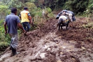 Lee más sobre el artículo Preocupación en Herveo frente a nueva temporada de lluvias