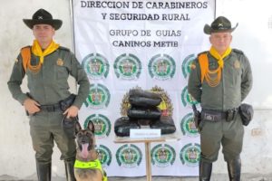 Lee más sobre el artículo Incautaron 10 mil dosis de marihuana en una bodega de encomiendas de Ibagué