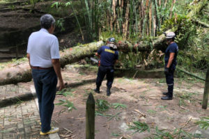 Lee más sobre el artículo Organismos de socorro atendieron emergencia en el Parque Centenario