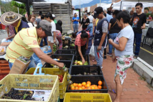Lee más sobre el artículo Mercados Campesinos han beneficiado a más de 200 familias productoras del Tolima