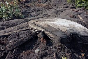 Lee más sobre el artículo ¡Tragedia! Tres personas murieron sepultadas por un deslizamiento de tierra en Cunday