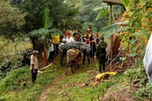 Lee más sobre el artículo Hombre murió tras ser alcanzado por un rayo en zona rural de Ibagué