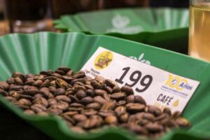 Lee más sobre el artículo ¡El café ‘se toma’ a Ibagué!