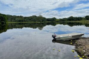 Lee más sobre el artículo Cortolima recuperó el Humedal El Silencio en Mariquita