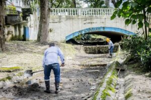 Lee más sobre el artículo Iniciaron labores para embellecer el Parque Centenario de Ibagué